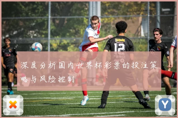 深度分析国内世界杯彩票的投注策略与风险控制