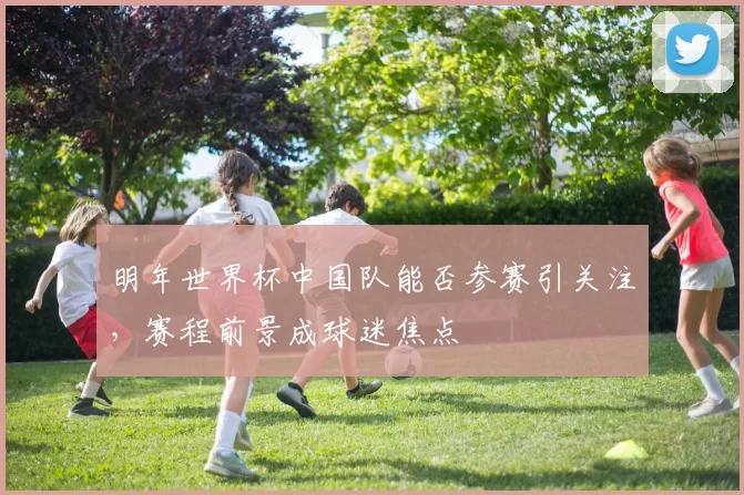 明年世界杯中国队能否参赛引关注，赛程前景成球迷焦点