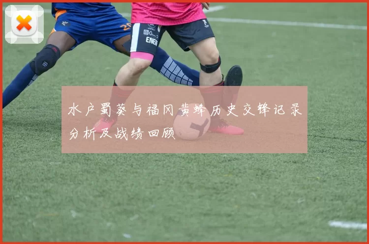 水户蜀葵与福冈黄蜂历史交锋记录分析及战绩回顾