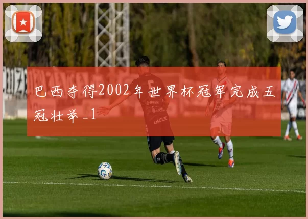 巴西夺得2002年世界杯冠军完成五冠壮举_1