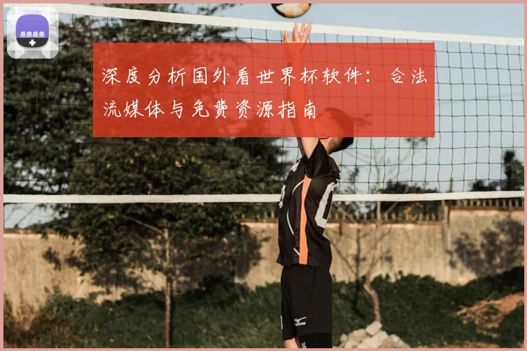 深度分析国外看世界杯软件：合法流媒体与免费资源指南