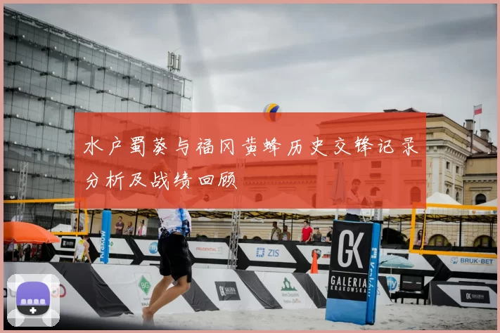 水户蜀葵与福冈黄蜂历史交锋记录分析及战绩回顾