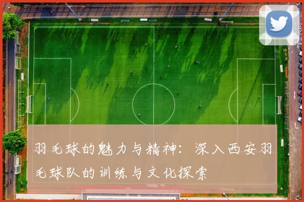 羽毛球的魅力与精神:深入西安羽毛球队的训练与文化探索