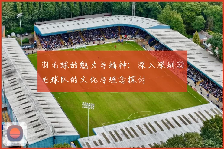 羽毛球的魅力与精神：深入深圳羽毛球队的文化与理念探讨