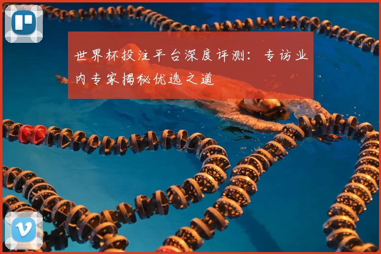 世界杯投注平台深度评测：专访业内专家揭秘优选之道