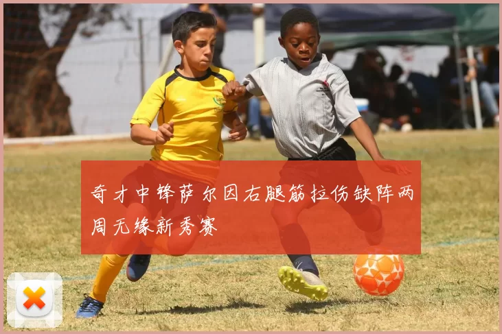 奇才中锋萨尔因右腿筋拉伤缺阵两周无缘新秀赛
