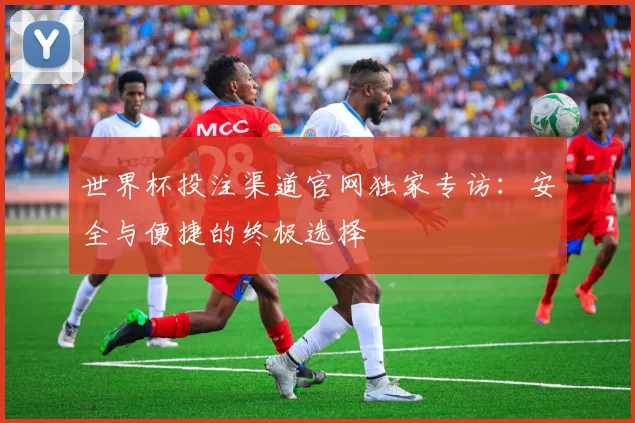 世界杯投注渠道官网独家专访：安全与便捷的终极选择