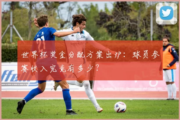 世界杯奖金分配方案出炉:球员参赛收入究竟有多少?