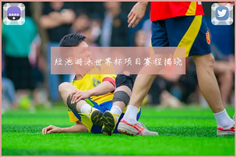 短池游泳世界杯项目赛程揭晓