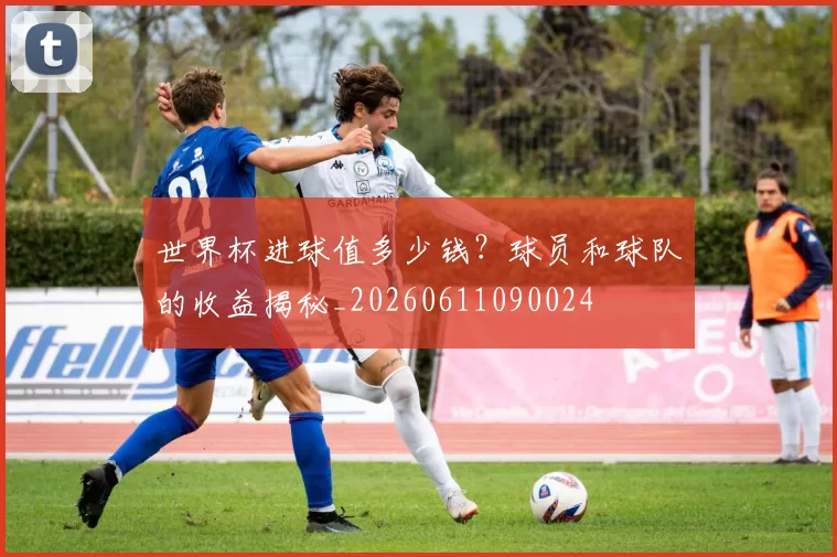 世界杯进球值多少钱?球员和球队的收益揭秘_20260611090024