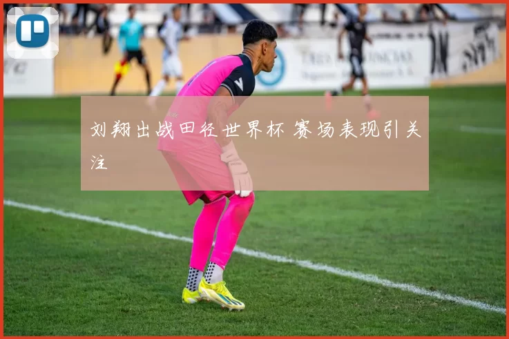 刘翔出战田径世界杯 赛场表现引关注