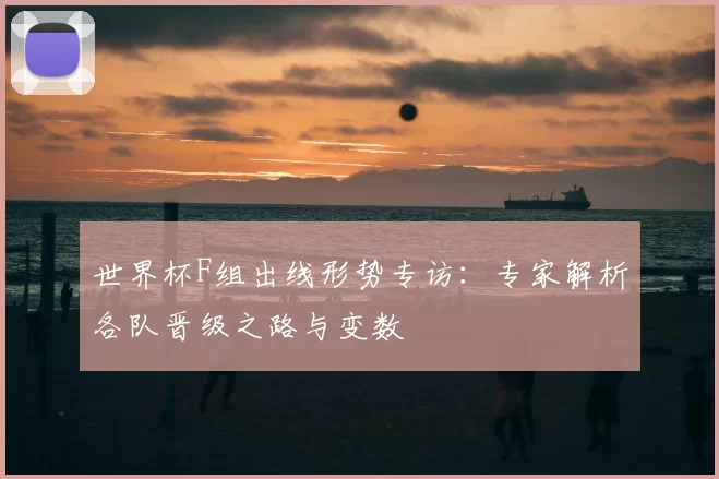 世界杯F组出线形势专访：专家解析各队晋级之路与变数