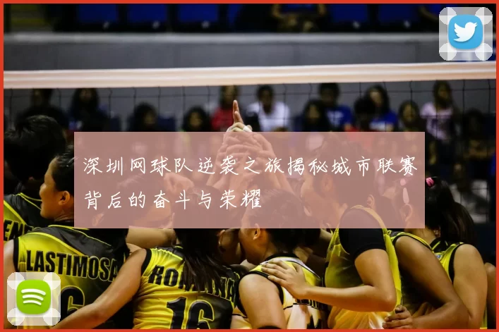 深圳网球队逆袭之旅揭秘城市联赛背后的奋斗与荣耀