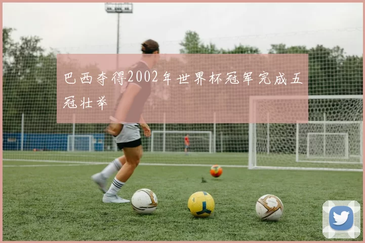 巴西夺得2002年世界杯冠军完成五冠壮举