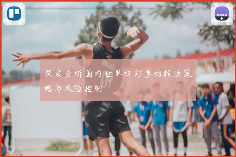 深度分析国内世界杯彩票的投注策略与风险控制